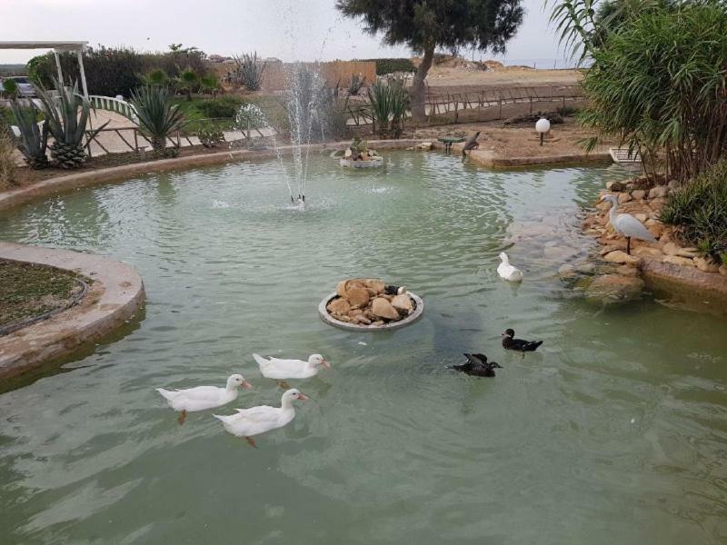Kamarina Resort Scoglitti Ngoại thất bức ảnh